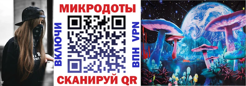 Купить где  Зубцов  Галлюциногенные грибы ЛСД 